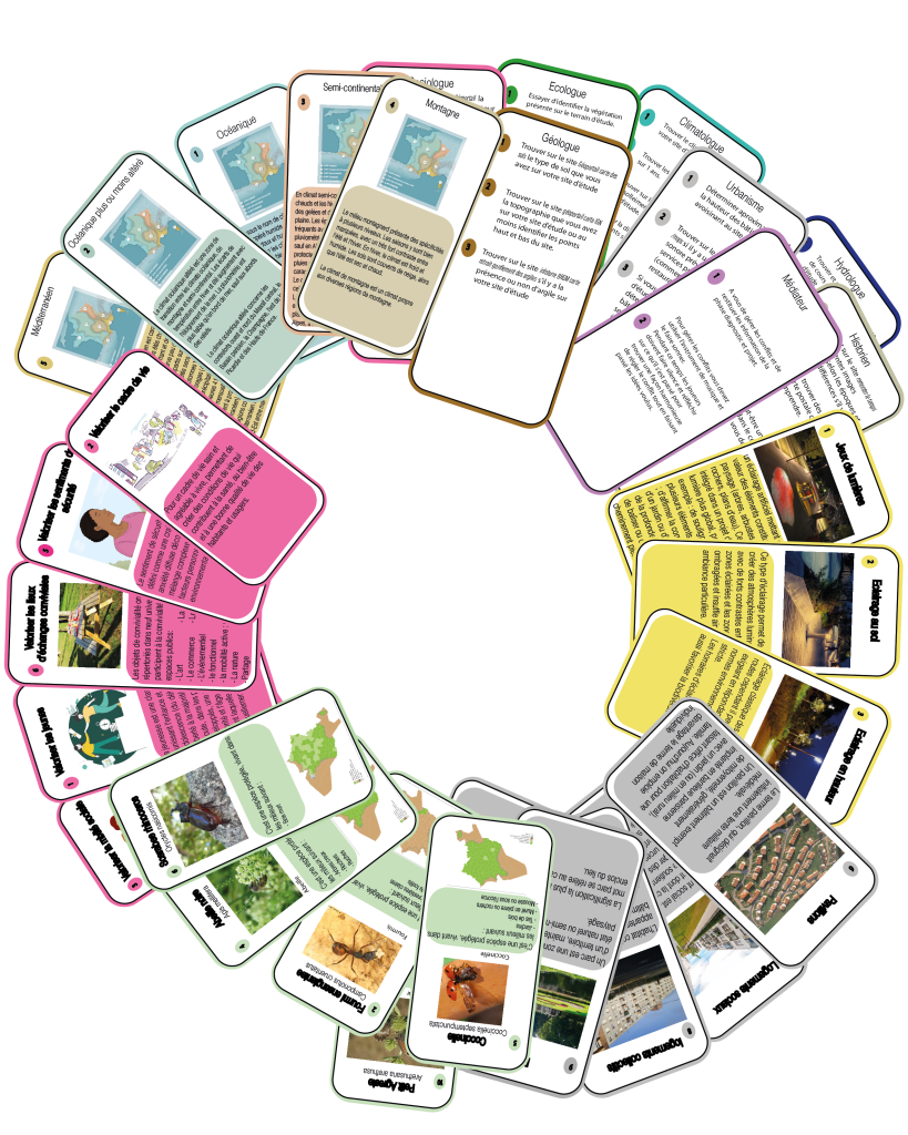 Carte Pixel ton paysage Co-Concept