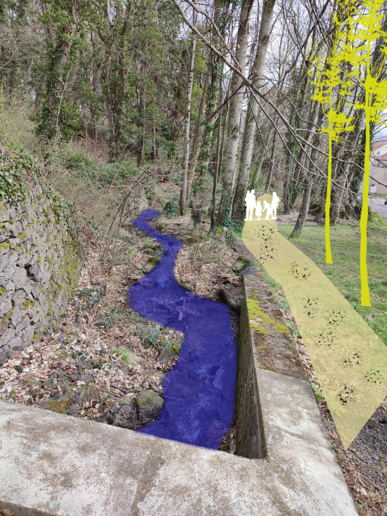 Chemin le long de la rivaux Volvic Co-Concept