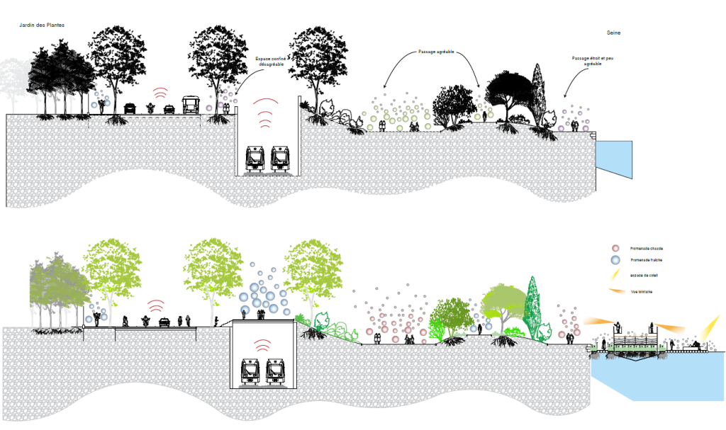 Coupe Bateau jardin Quai Saint-Bernard Co-Concept