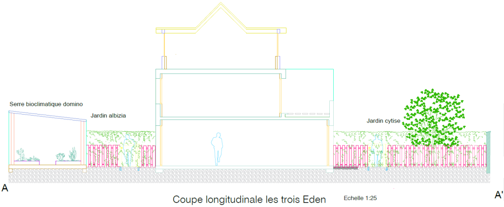 Coupe Bâtiment les trois Eden Co-Concept