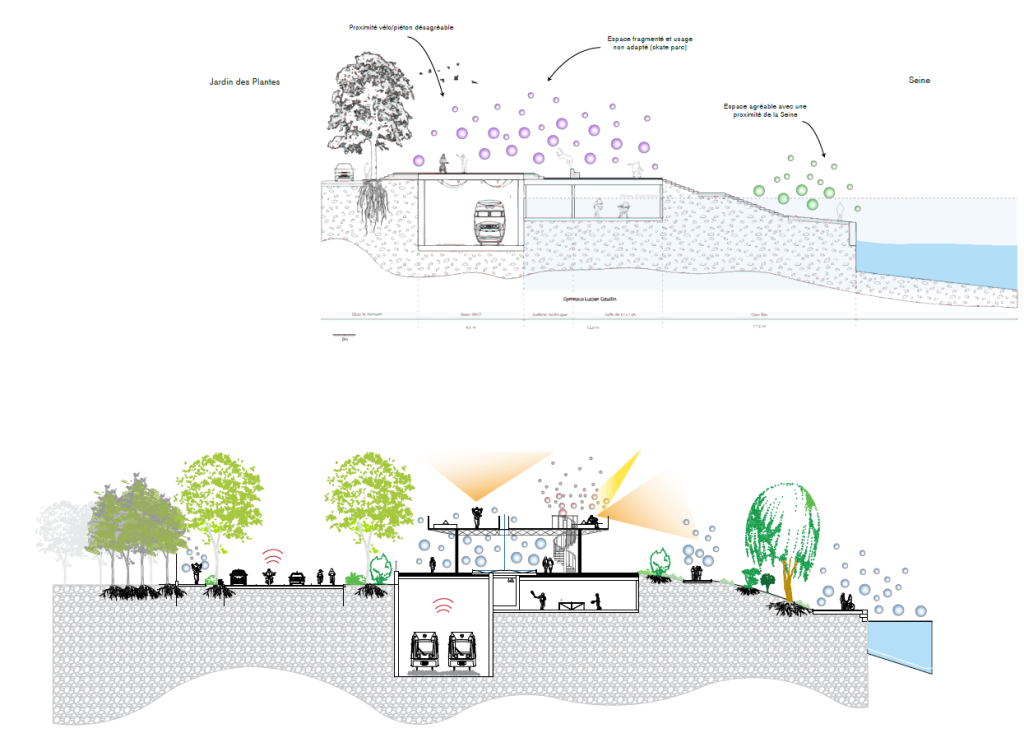 Coupe Le belvédère Quai Saint-Bernard Co-Concept