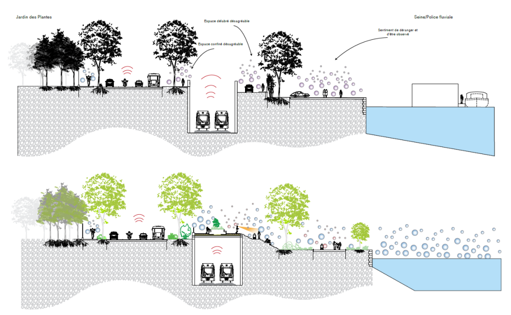 Coupe continuité Quai Saint-Bernard Co-Concept