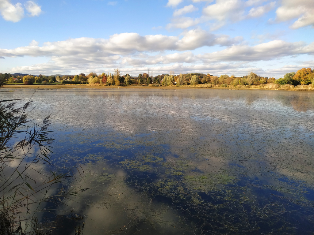 Lac avec algue Beaune Co-Concept