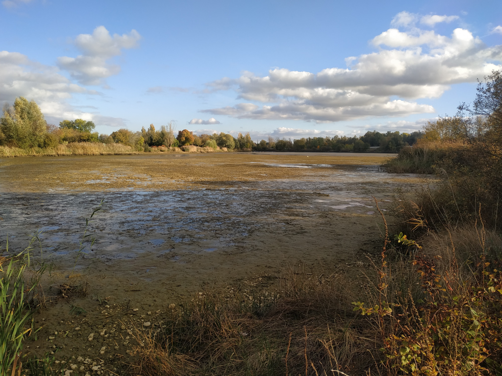 Lac de Gigny 2 Beaune-Co-Concept