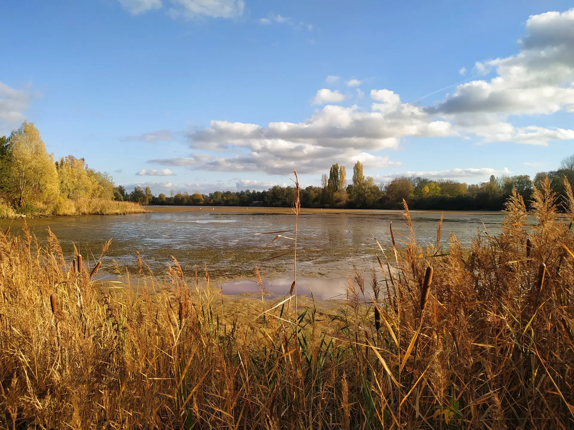 Lac de Gigny Beaune-Co-Concept