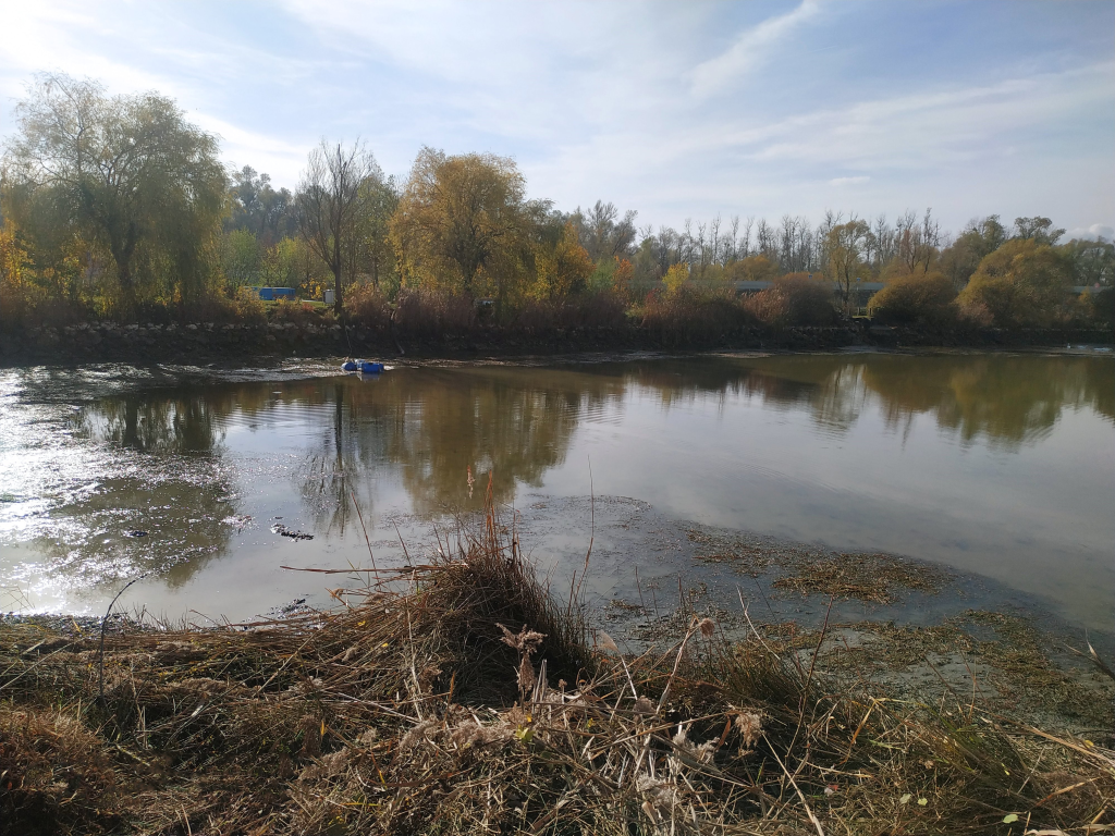 Point bas Beaune Co-Concept
