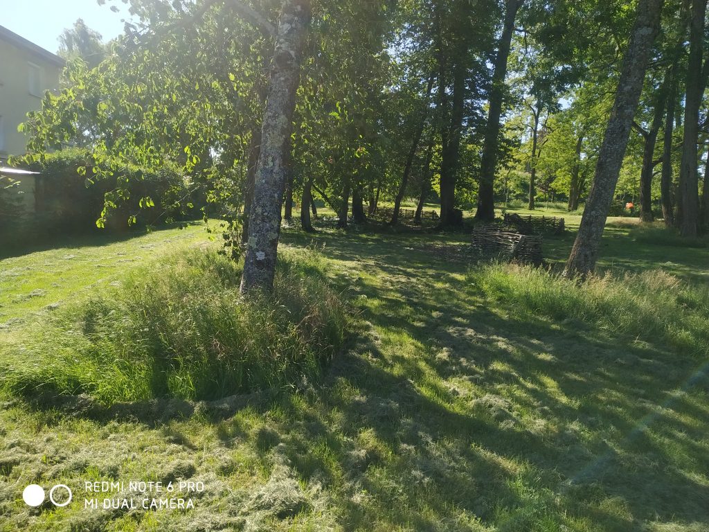 Tonte parc St-Jacques Beaune Co-Concept