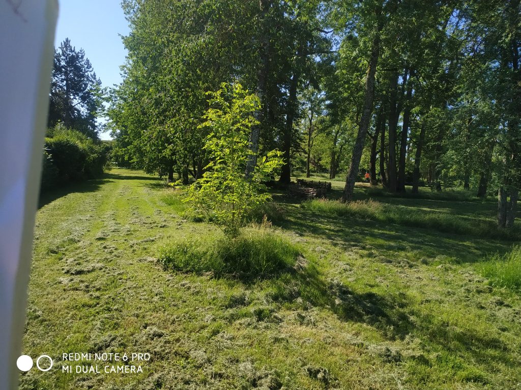 Tonte parc St-Jacques 2 Beaune Co-Concept