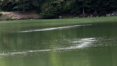 oxygénation du lac Beaune Co-Concept